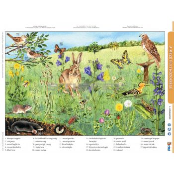 A mező életközössége + munkaoldal tanulói munkalap