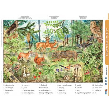 Az erdő életközössége + munkaoldal tanulói munkalap
