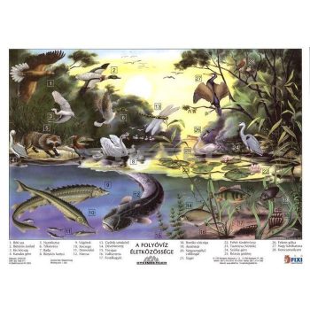   A folyóvíz életközössége + munkaoldal tanulói munkalap