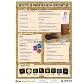   Szexuális úton terjedő betegségek / Egészséges életmód tanulói munkalap