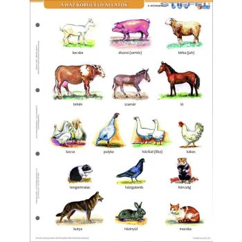 Ház körül élő állatok + munkaoldal tanulói munkalap