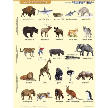   Vadon élő állatok lefűzhető tanulói munkalap+munkaoldal