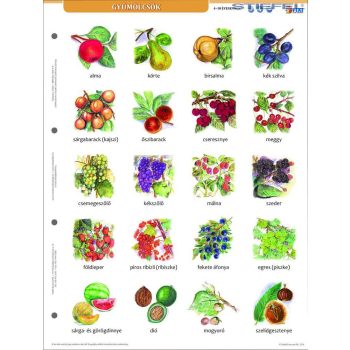 Gyümölcsök + munkaoldal tanulói munkalap