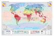 A Föld éghajlata és növényzete kétoldalas óriás fali térképposzter