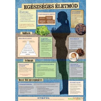 Egészséges életmód - fali oktatótabló