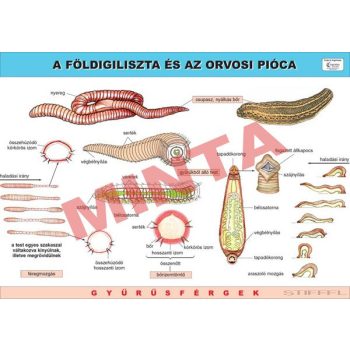 A Földigiliszta és az Orvosi pióca