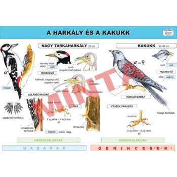 A harkály és a kakukk