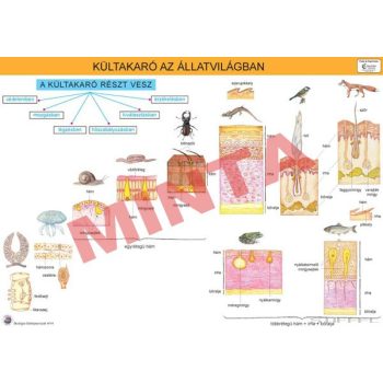 Kültakaró az állatvilágban