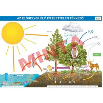 Az élőhelyek élő és élettelen tényezői