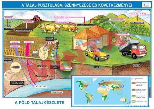 A talaj pusztulása, szennyeződése és következményei