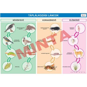 Táplálkozási láncok