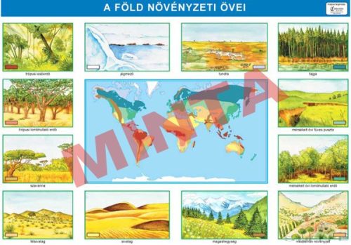 A Föld növényzeti övei