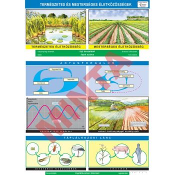 Természetes és mesterséges életközösségek