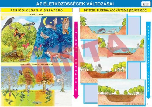 Az életközösségek változásai