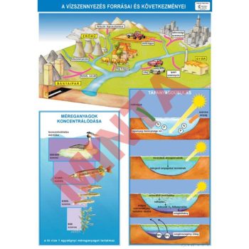 A vízszennyezés forrásai és következményei
