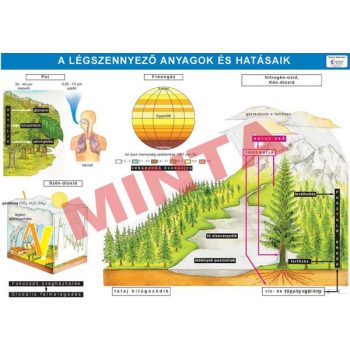 Légszennyező anyagok és hatásaik