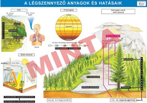 Légszennyező anyagok és hatásaik