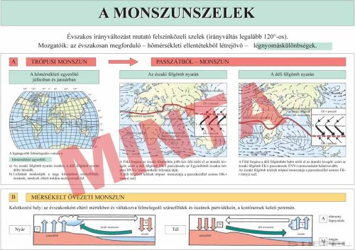 A monszunszelek