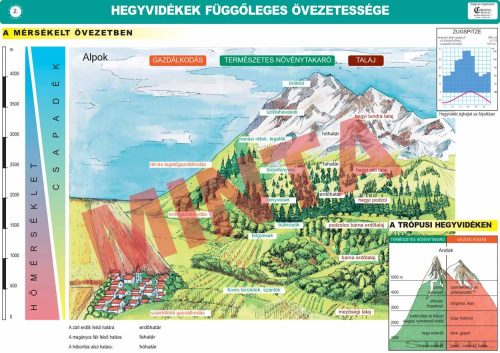 Hegyvidékek függőleges övezetessége