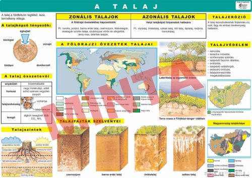 A talaj
