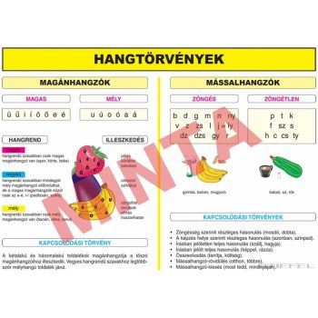 Hangtörvények