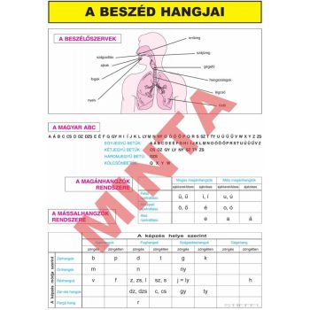 A beszéd hangjai