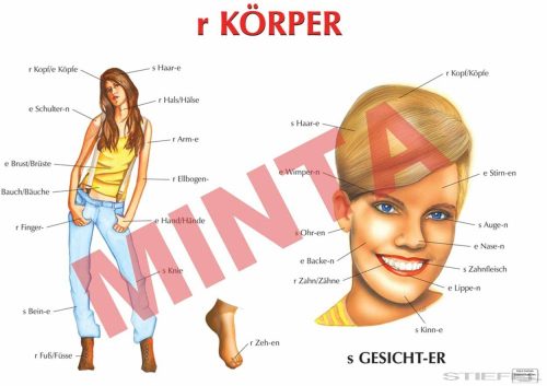 r Körper