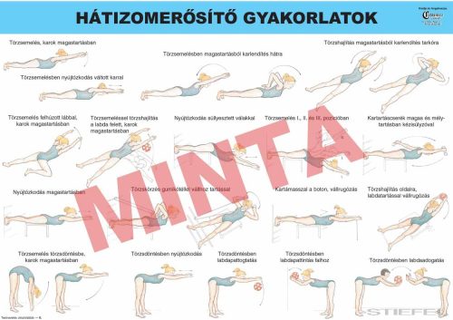 Hátizom erősítő gyakorlatok