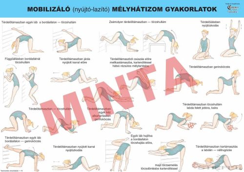 Mobilizáló (nyújtó,- lazító) mélyhátizom gyakorlatok