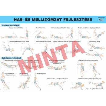 Has, - és mellizom fejlesztése