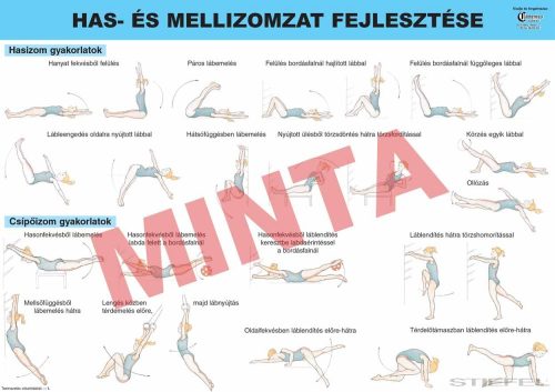 Has, - és mellizom fejlesztése