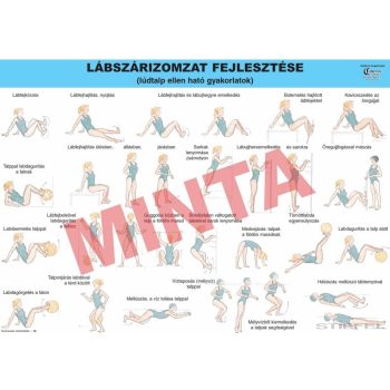   Lábszárizomzat fejlesztése (lúdtalp ellen ható gyakorlatok)