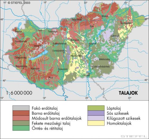 Talajok
