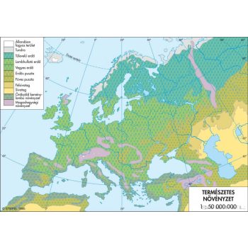 Természetes növényzet